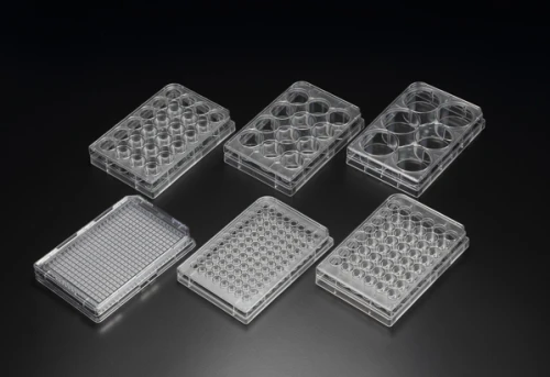Đĩa nhựa 6 giếng tiệt trùng - 30006