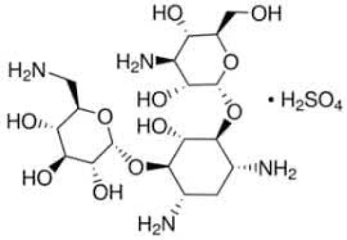 Kanamycin A